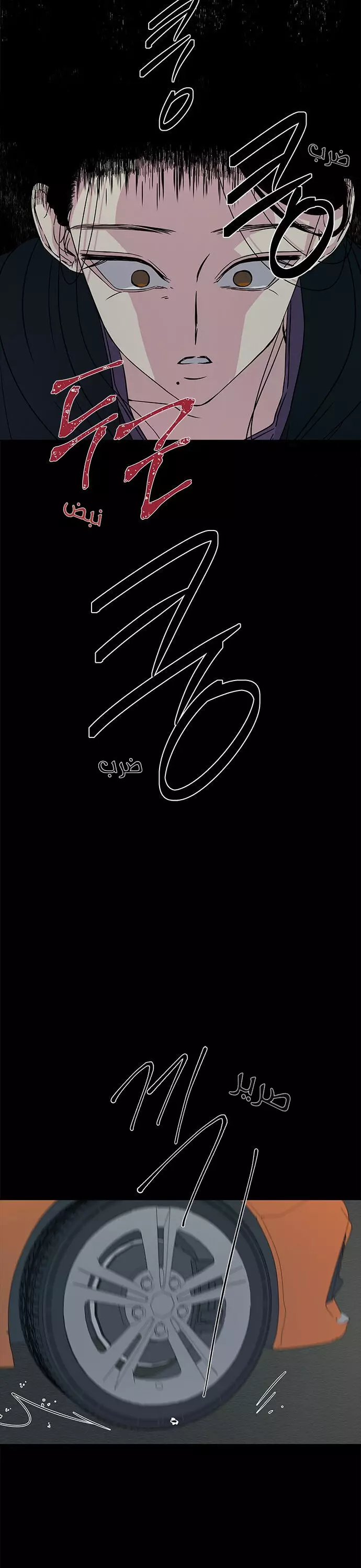 الصفحة 20