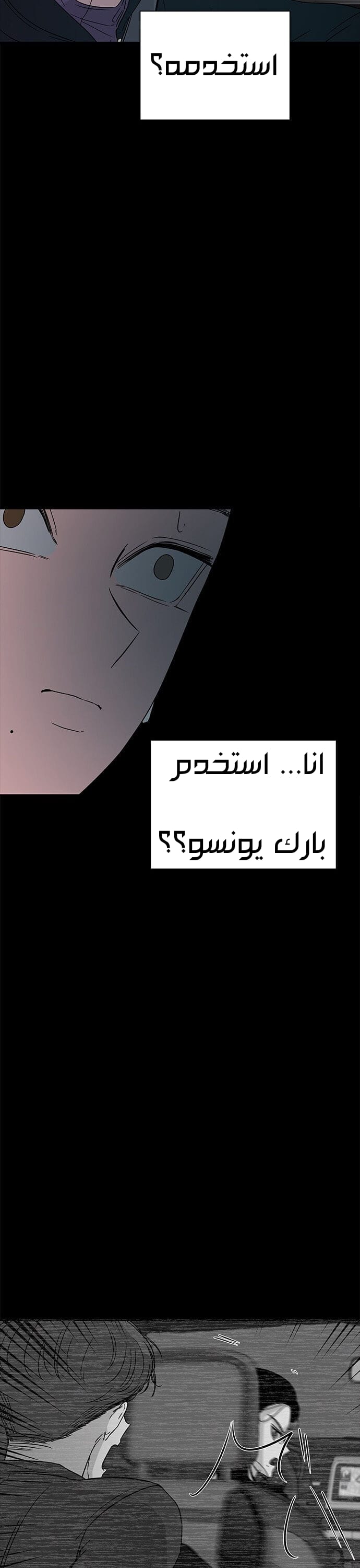 الصفحة 17