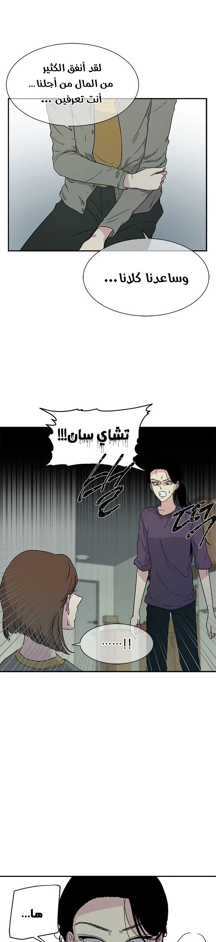 الصفحة 17