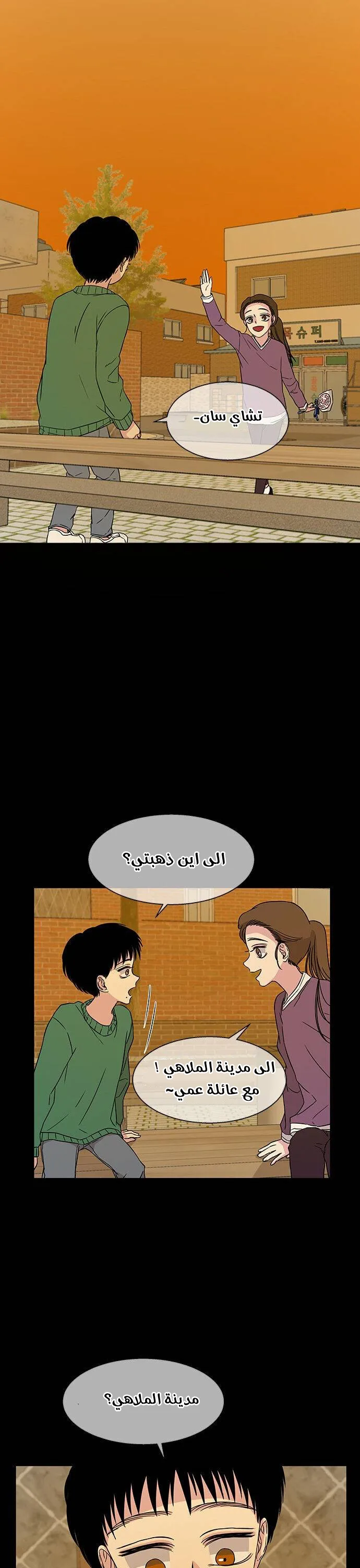 الصفحة 17