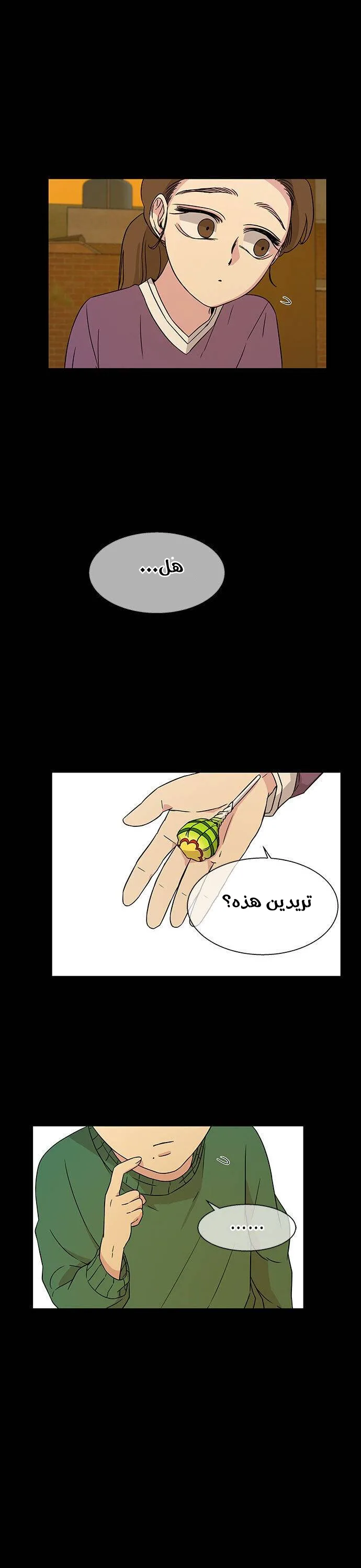 الصفحة 19