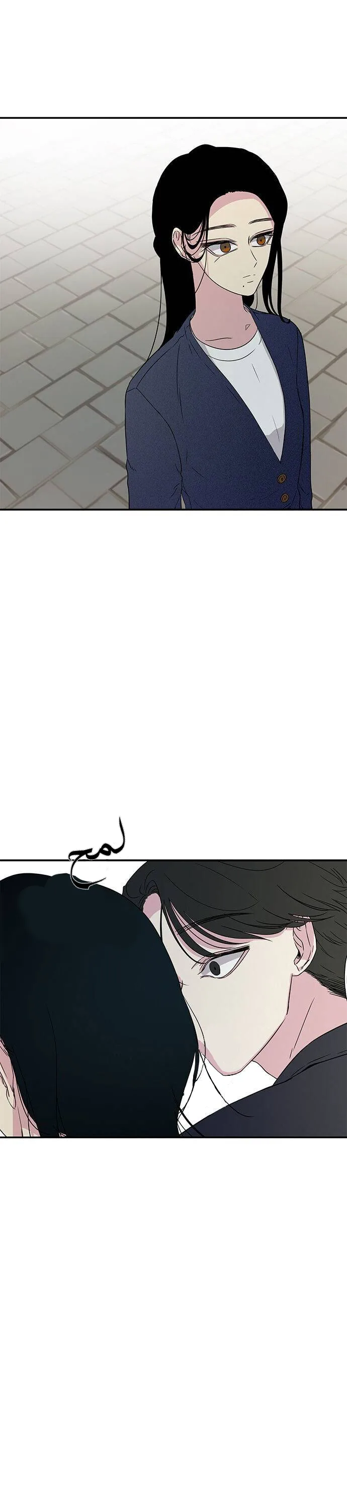الصفحة 17