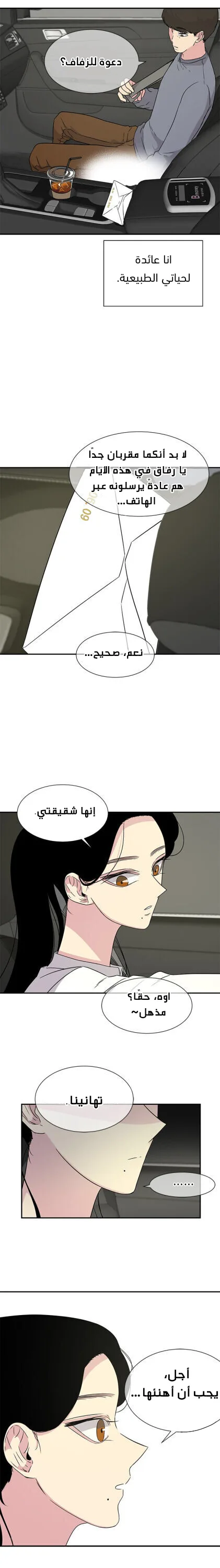 الصفحة 13