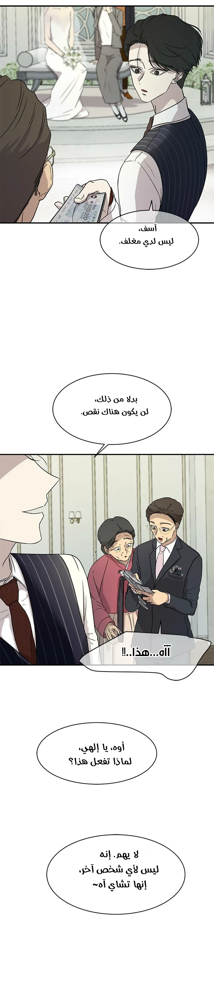 الصفحة 13