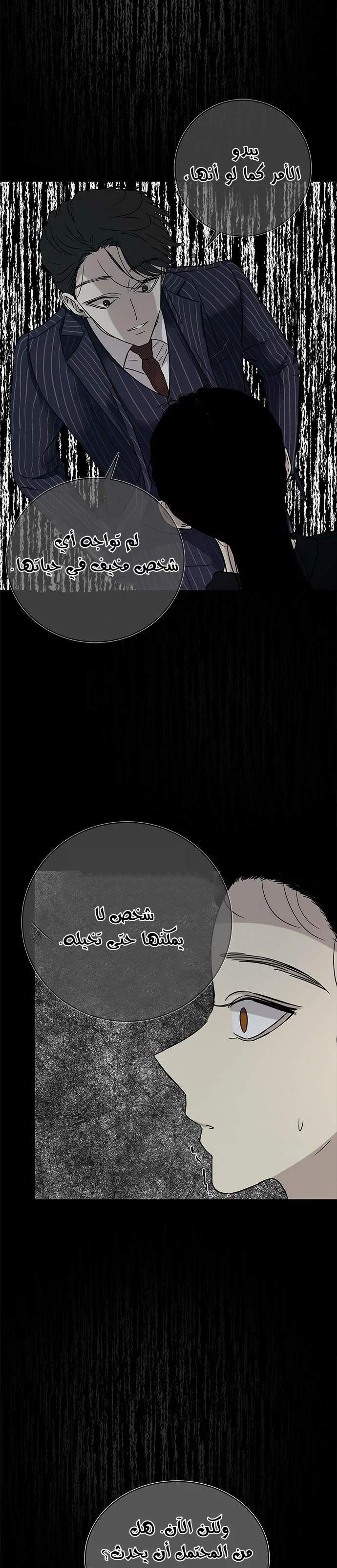 الصفحة 25