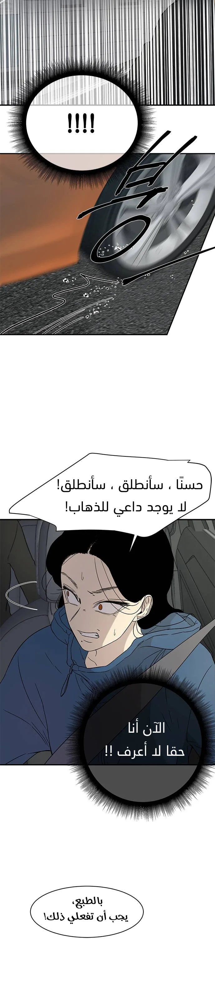 الصفحة 17