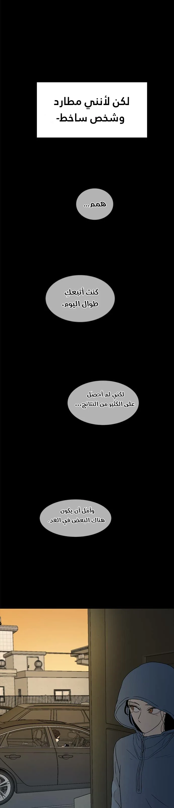 الصفحة 19