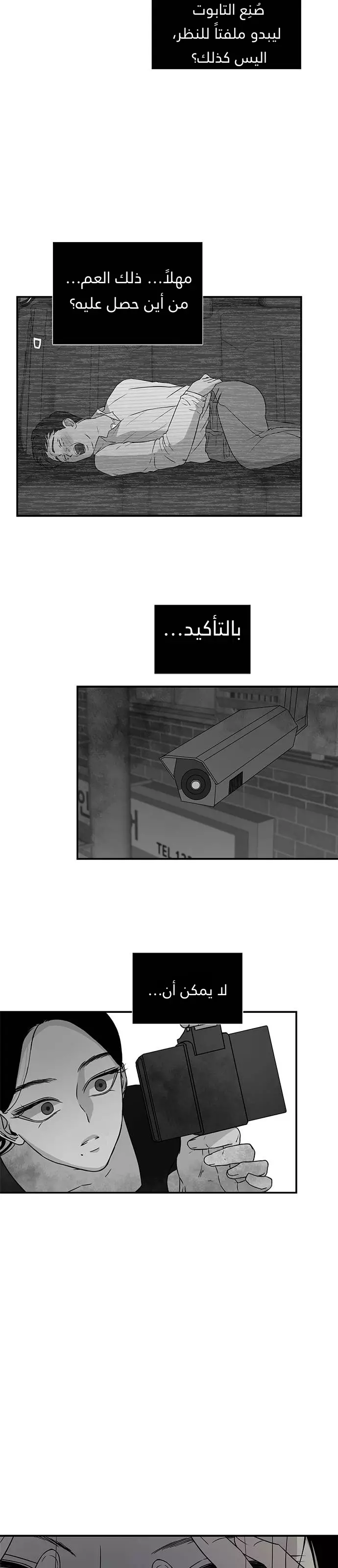 الصفحة 17