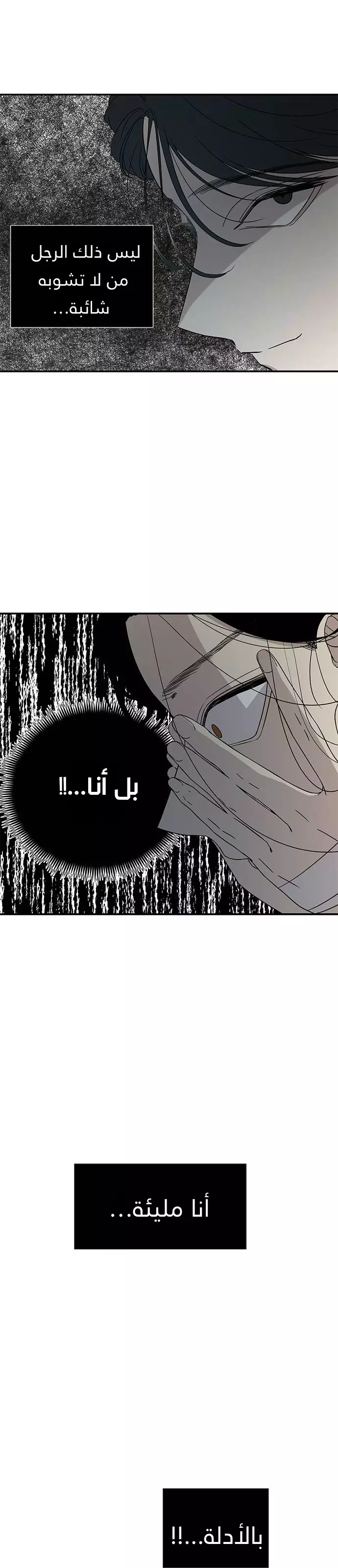 الصفحة 19