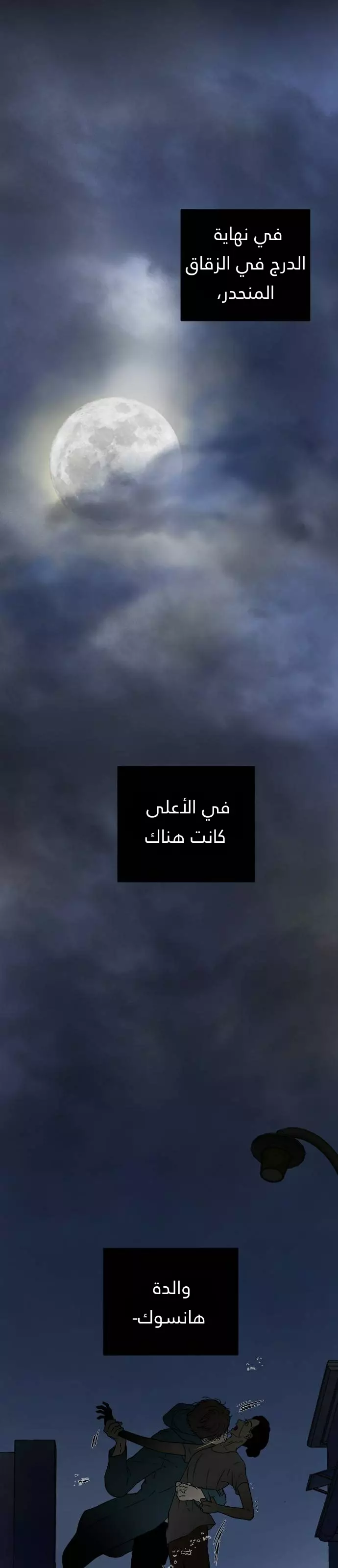 الصفحة 27