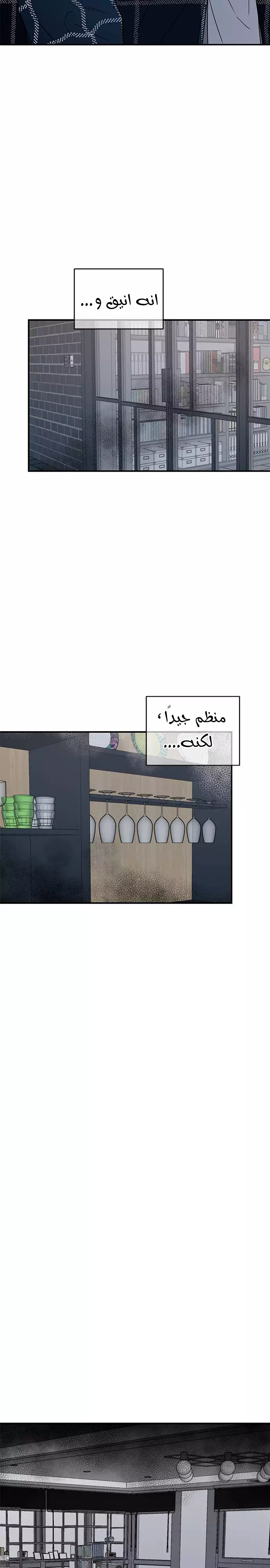 الصفحة 17