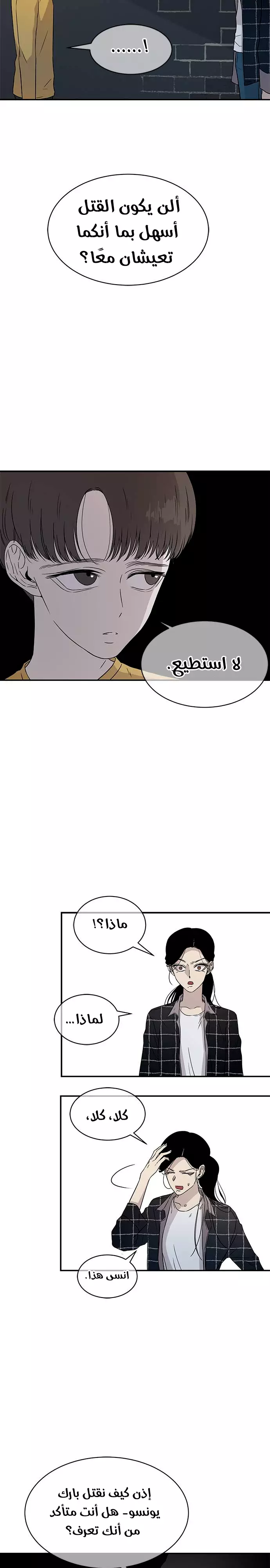 الصفحة 19