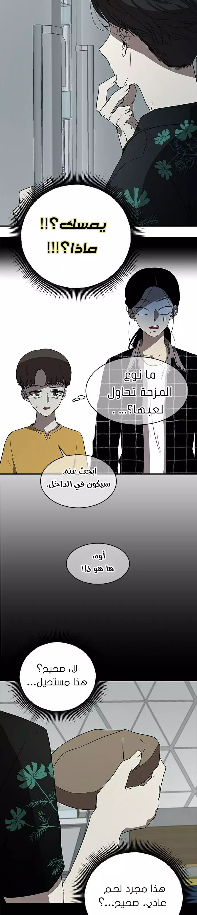 الصفحة 13