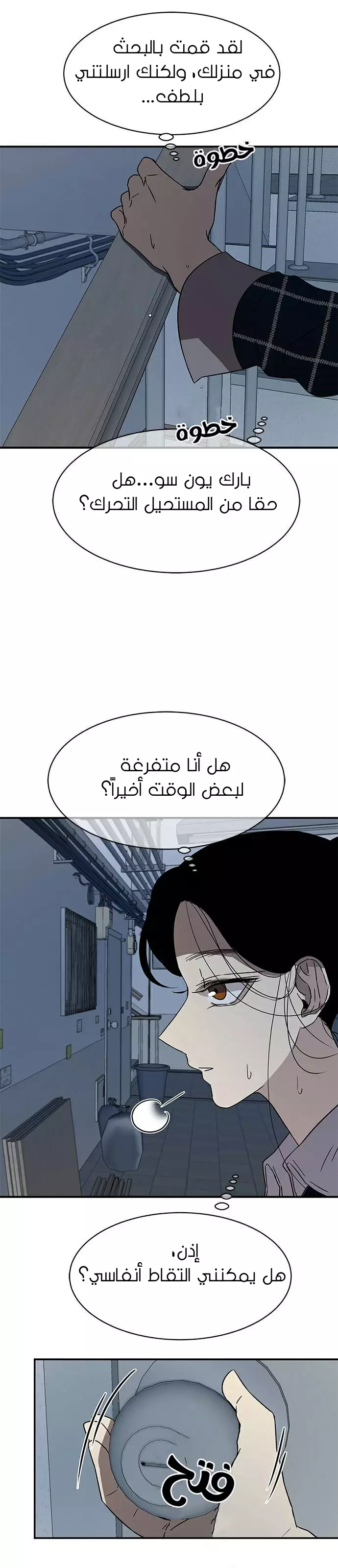 الصفحة 13