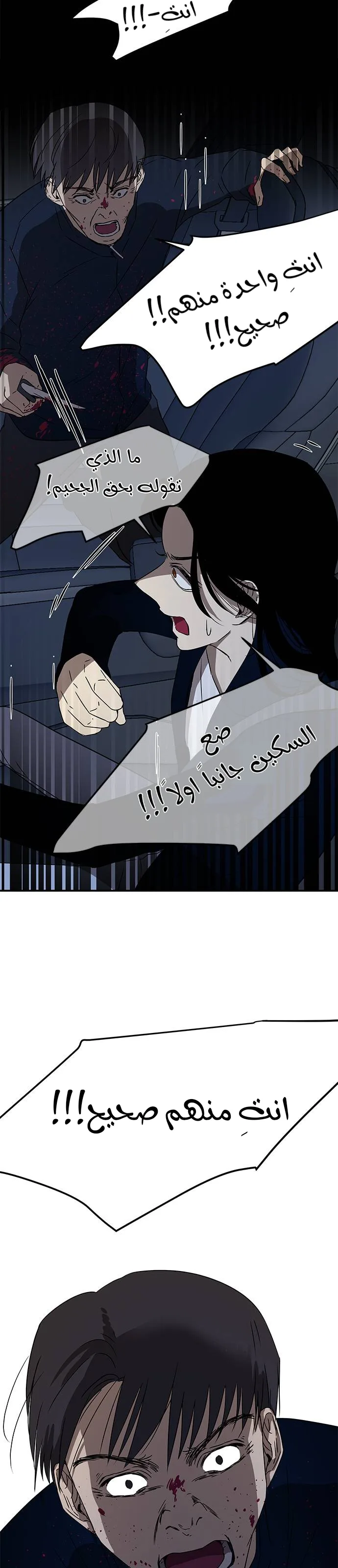 الصفحة 24