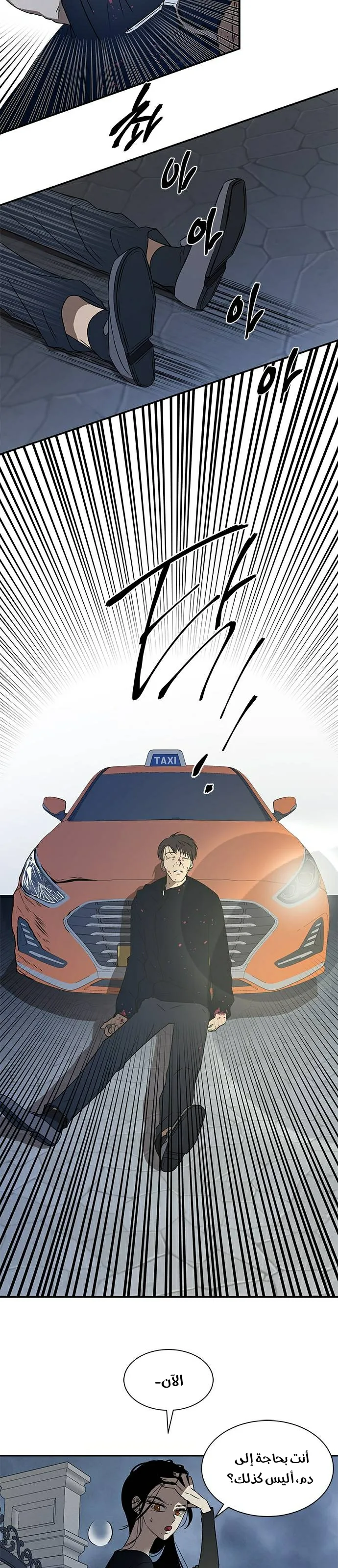 الصفحة 12