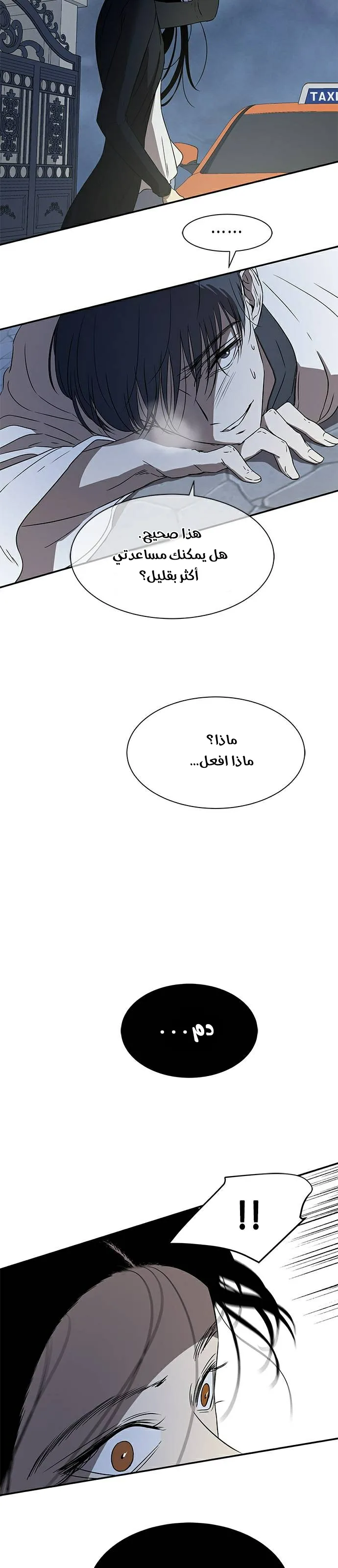 الصفحة 13