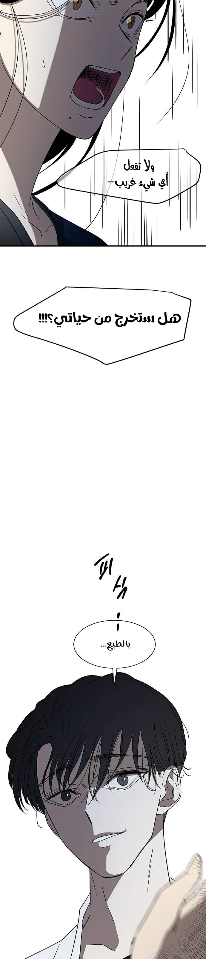 الصفحة 29