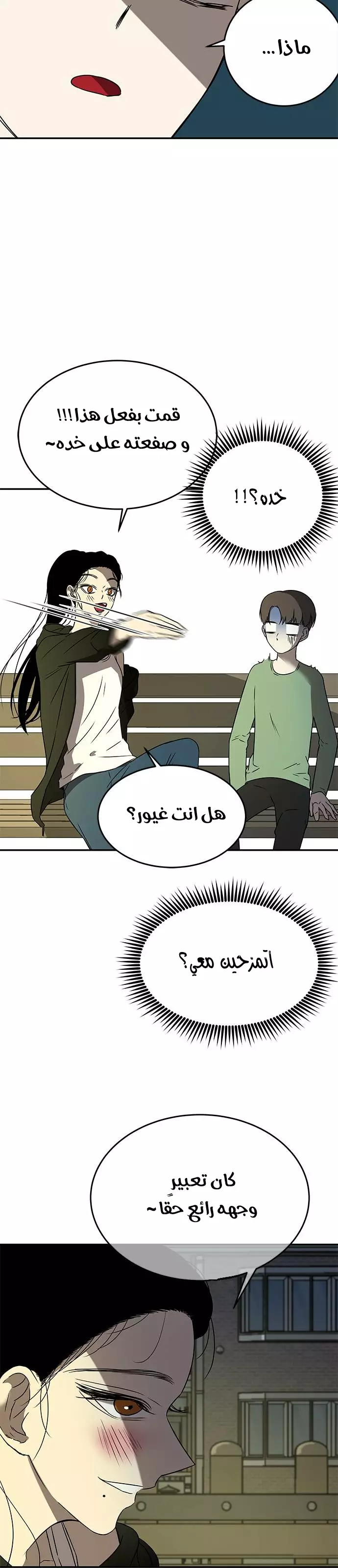 الصفحة 13