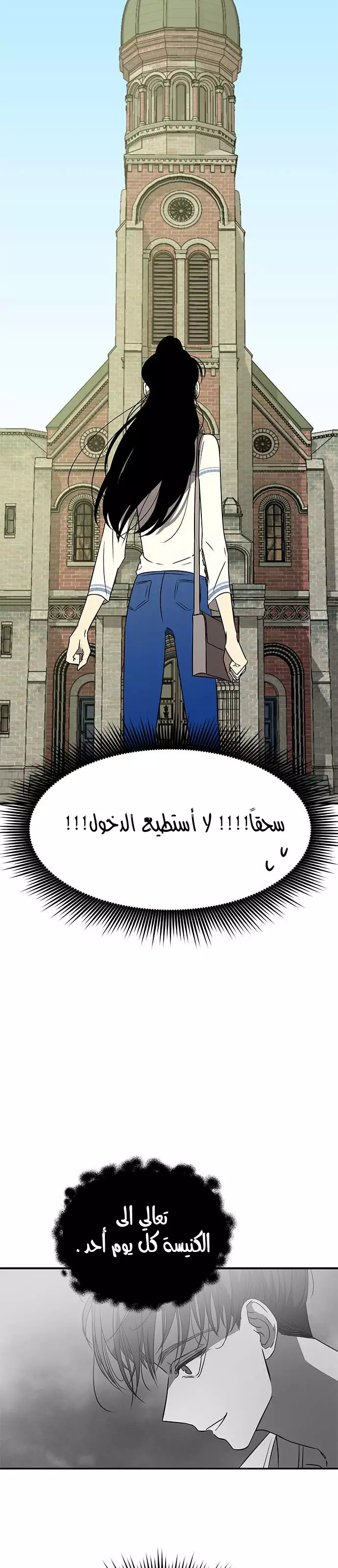 الصفحة 17