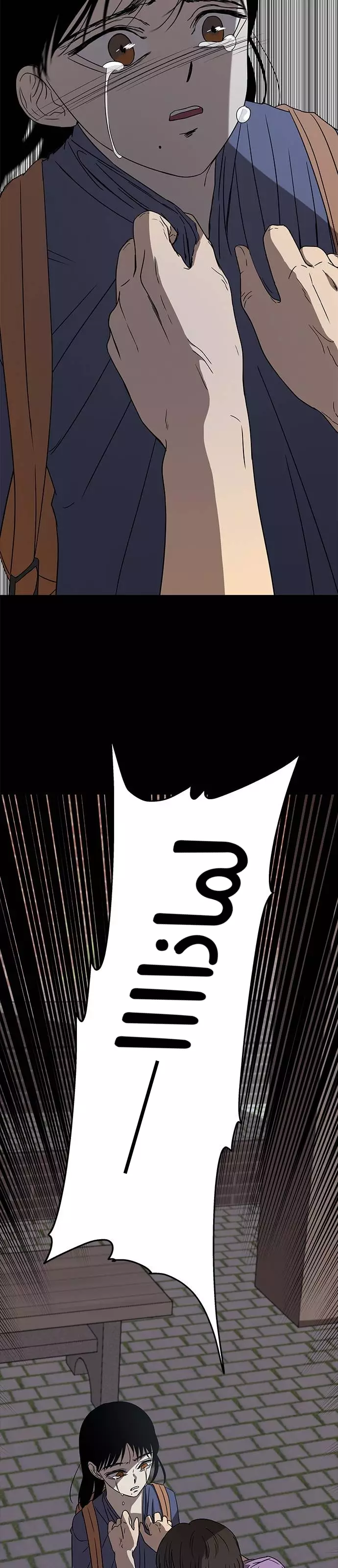 الصفحة 17