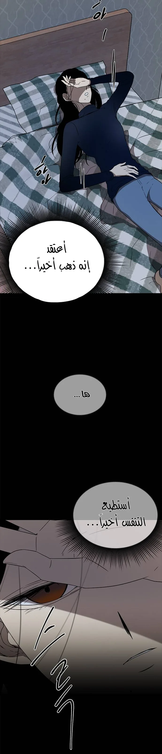 الصفحة 30