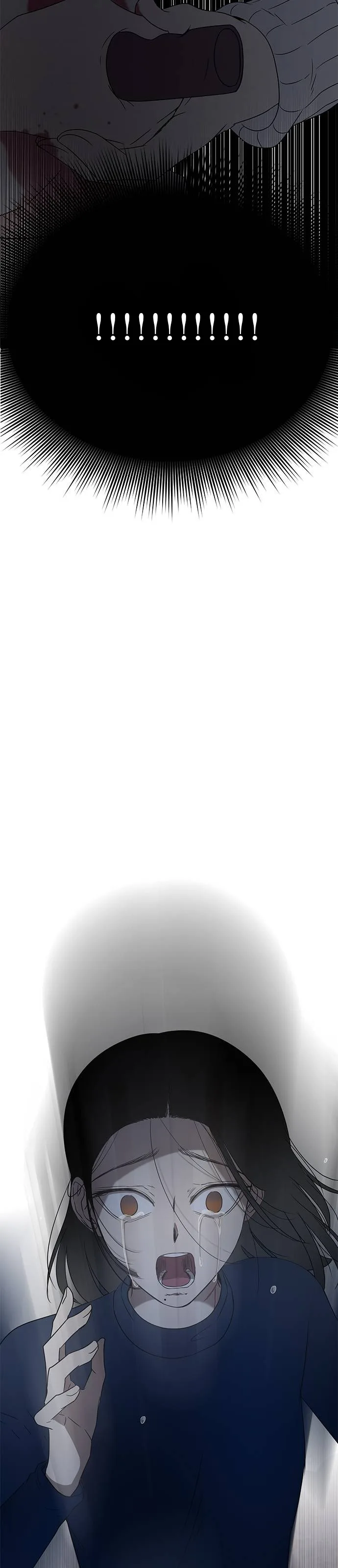 الصفحة 52