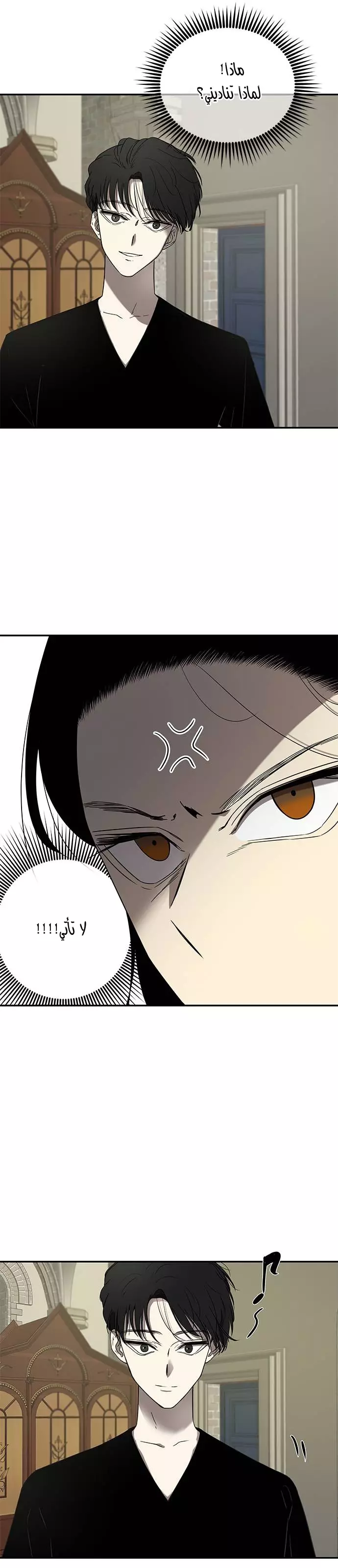 الصفحة 31