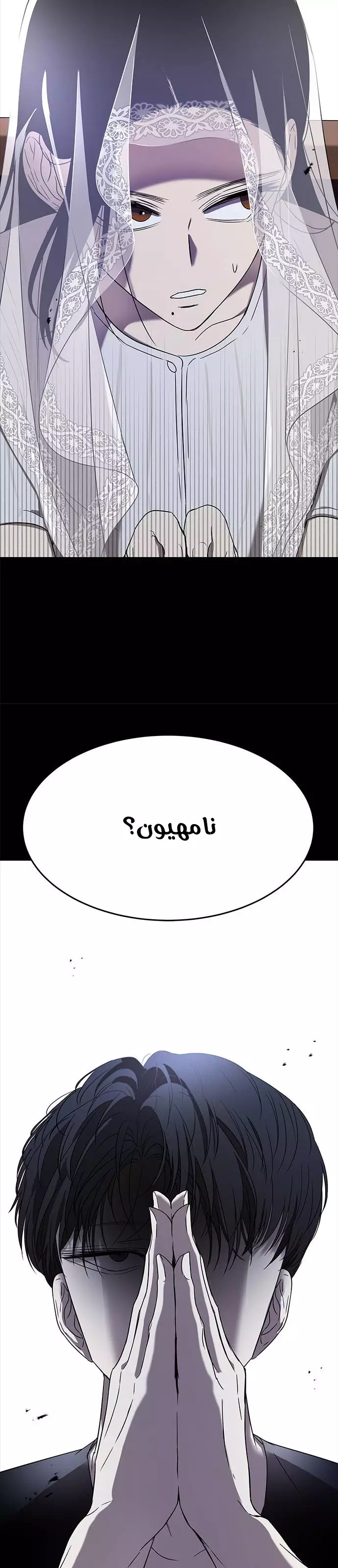 الصفحة 25