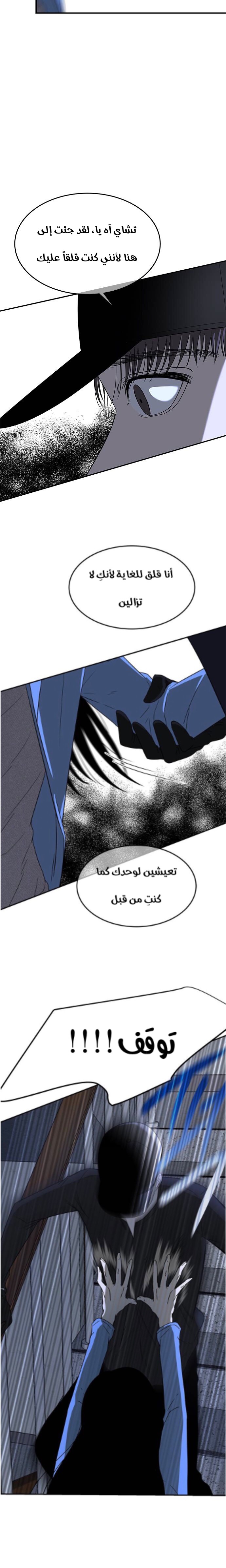 الصفحة 24