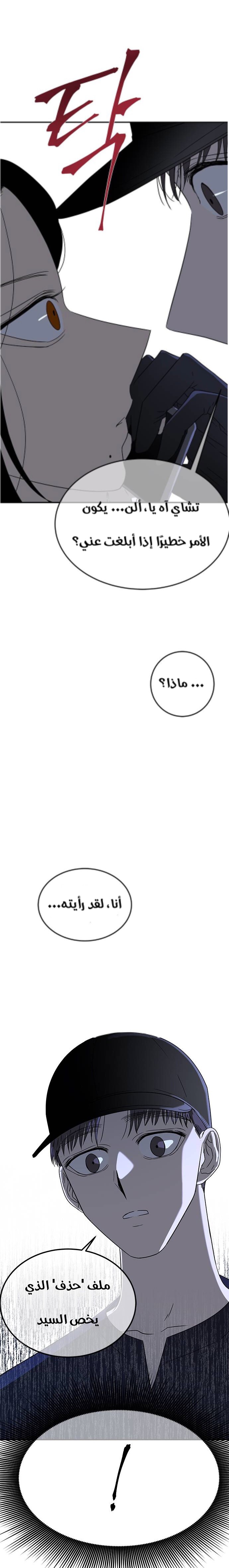 الصفحة 26