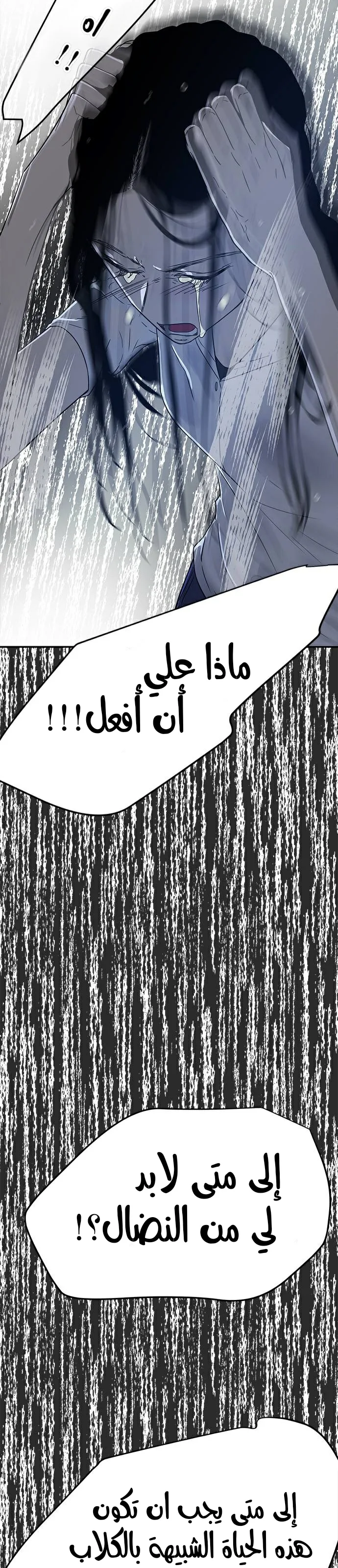 الصفحة 39