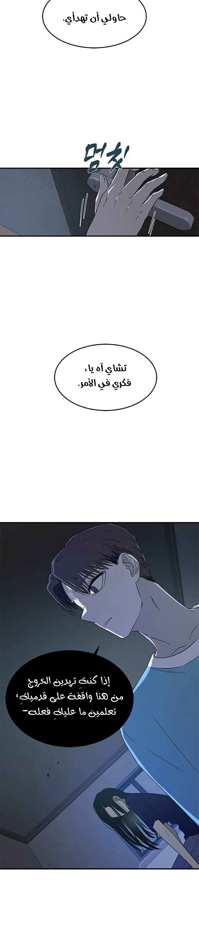 الصفحة 17