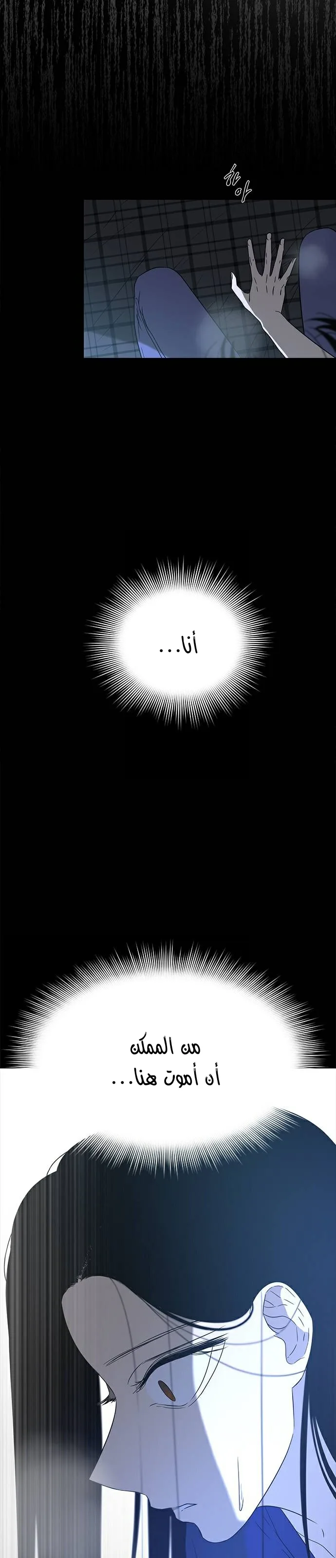 الصفحة 19