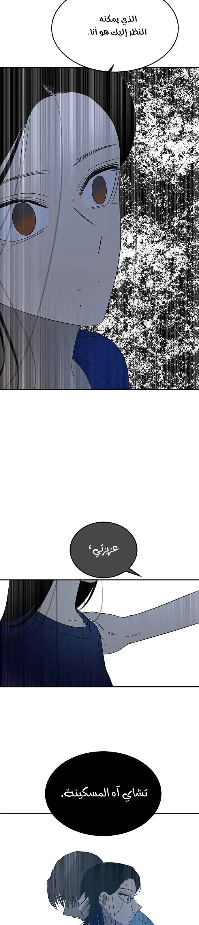 الصفحة 33