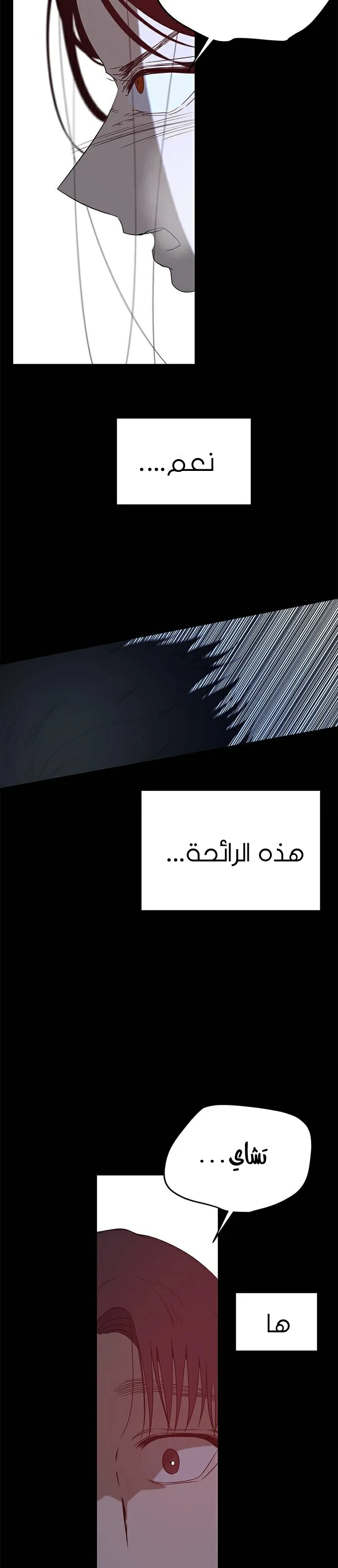الصفحة 38