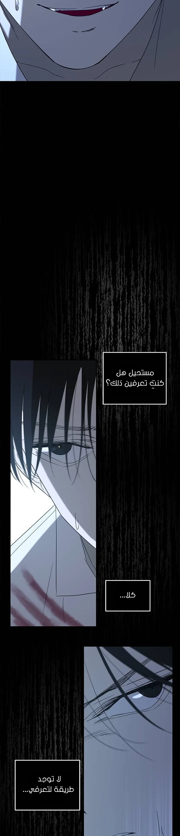 الصفحة 39