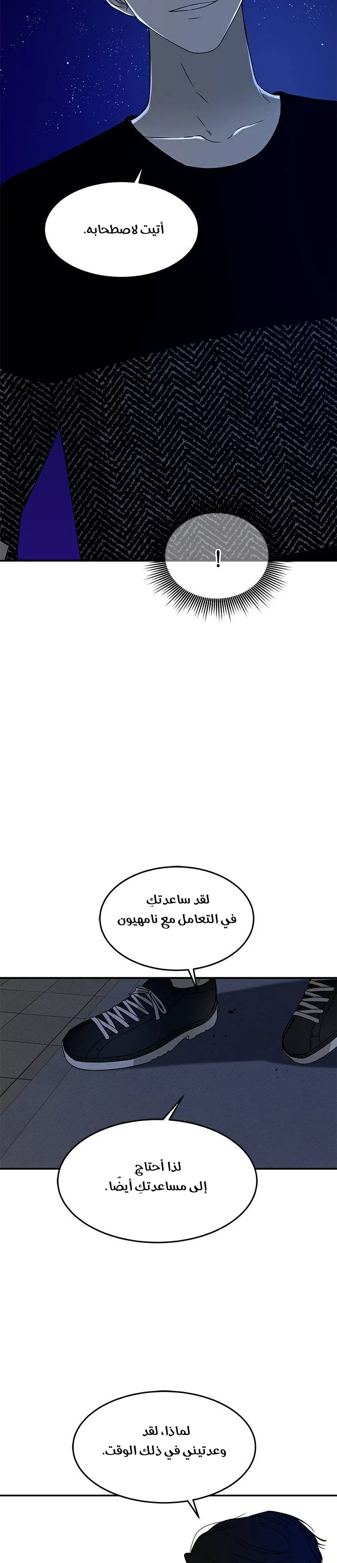 الصفحة 13