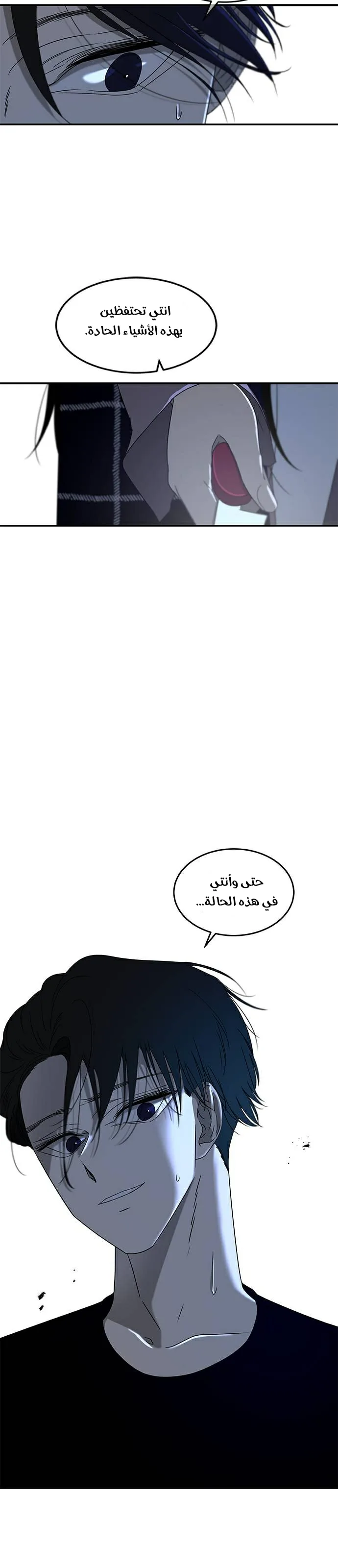 الصفحة 15