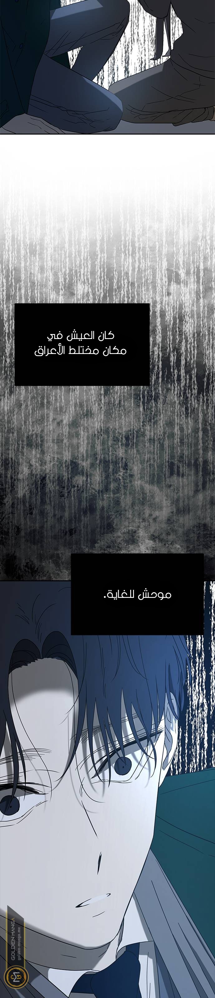 الصفحة 32