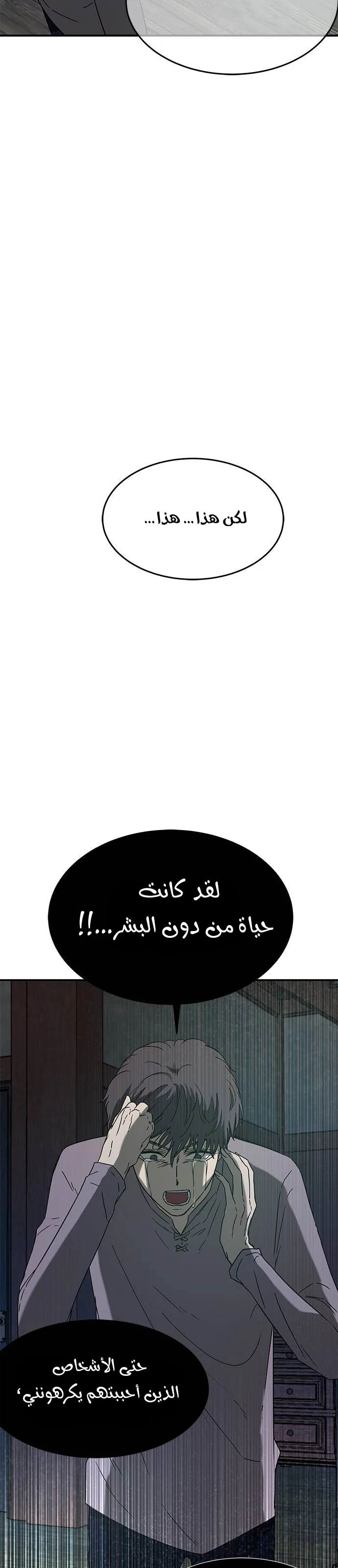 الصفحة 31