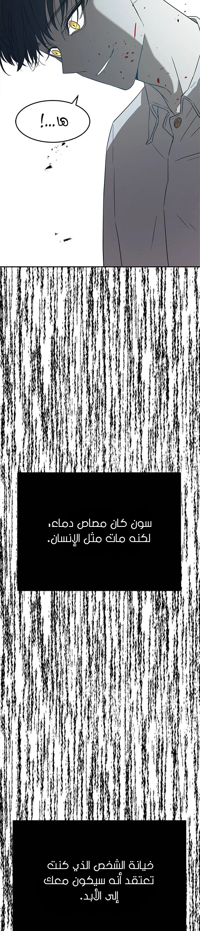 الصفحة 53