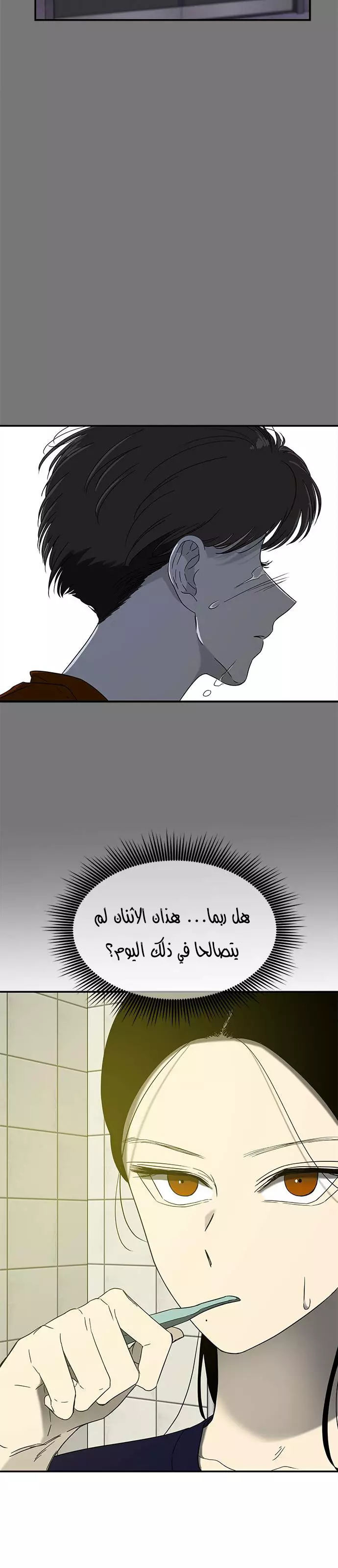 الصفحة 15