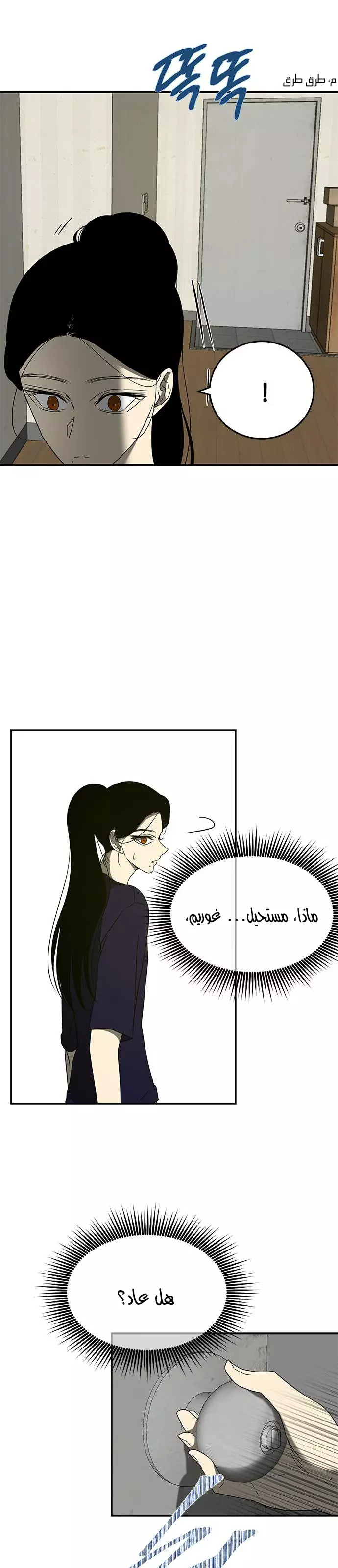 الصفحة 17