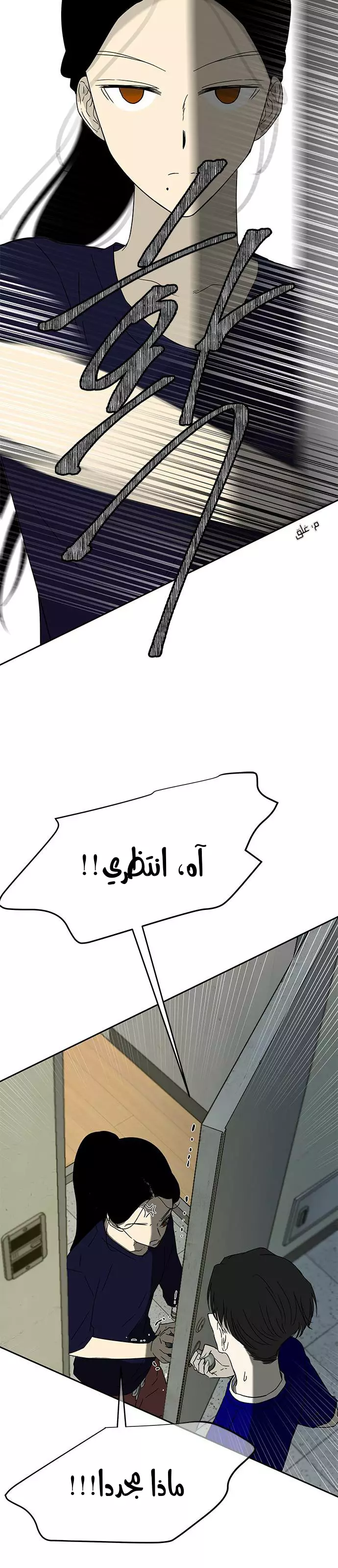 الصفحة 19