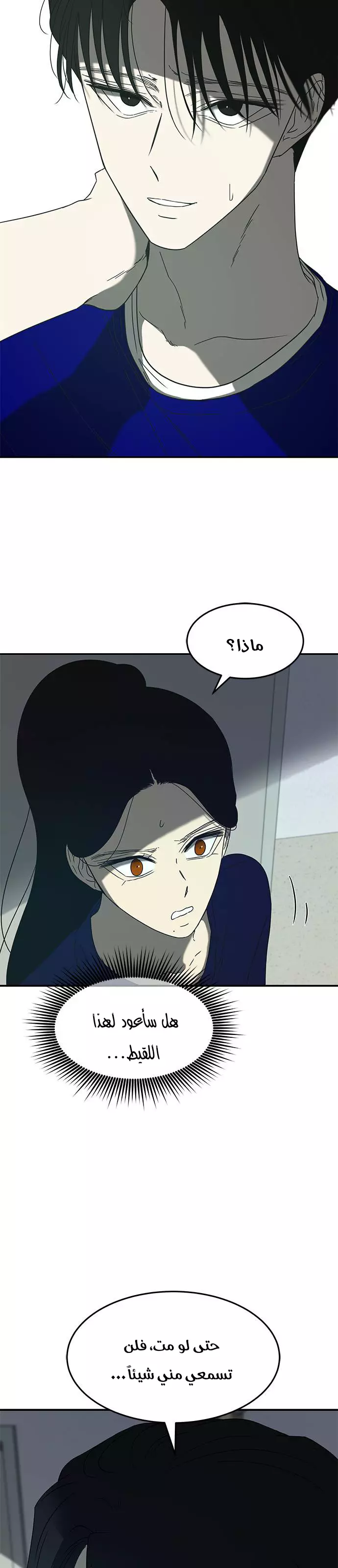 الصفحة 25