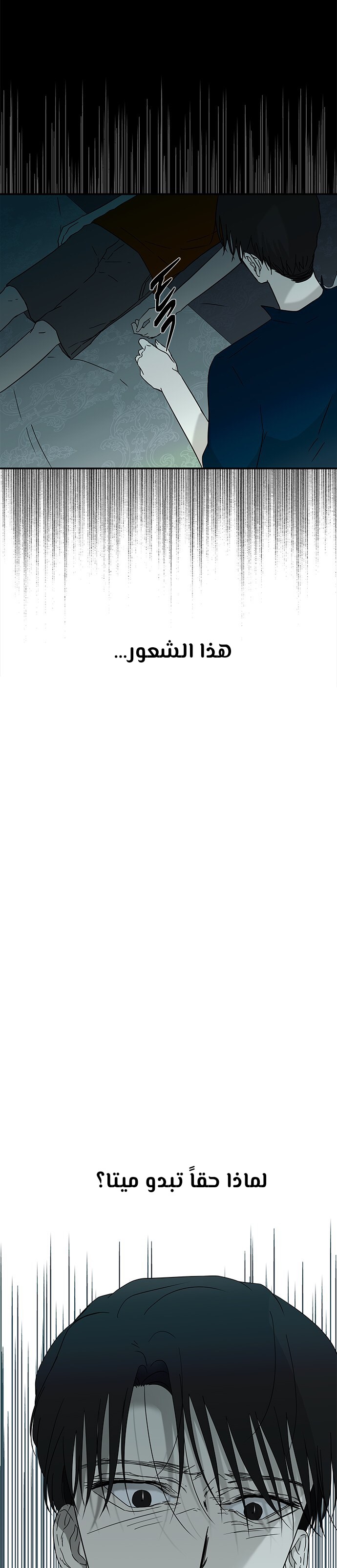 الصفحة 33