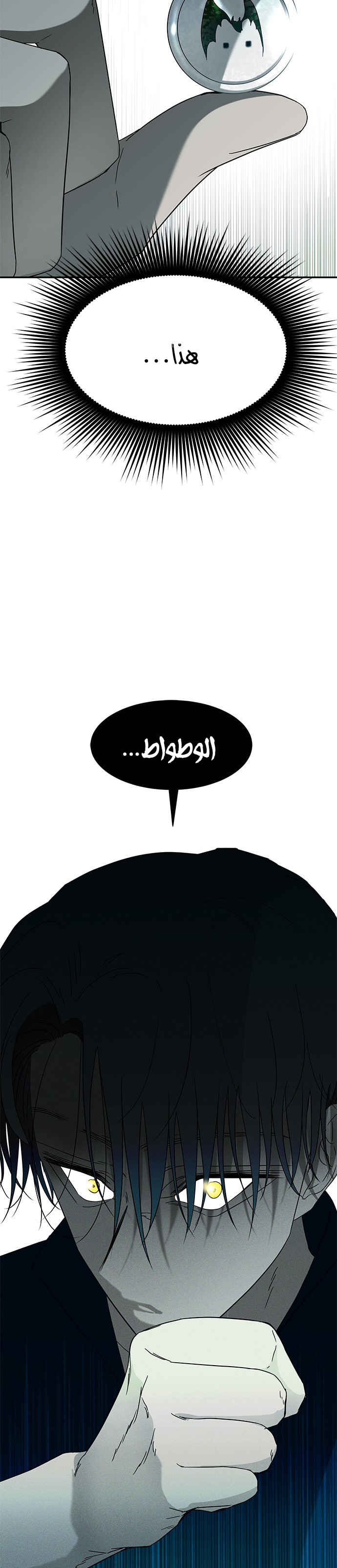 الصفحة 38