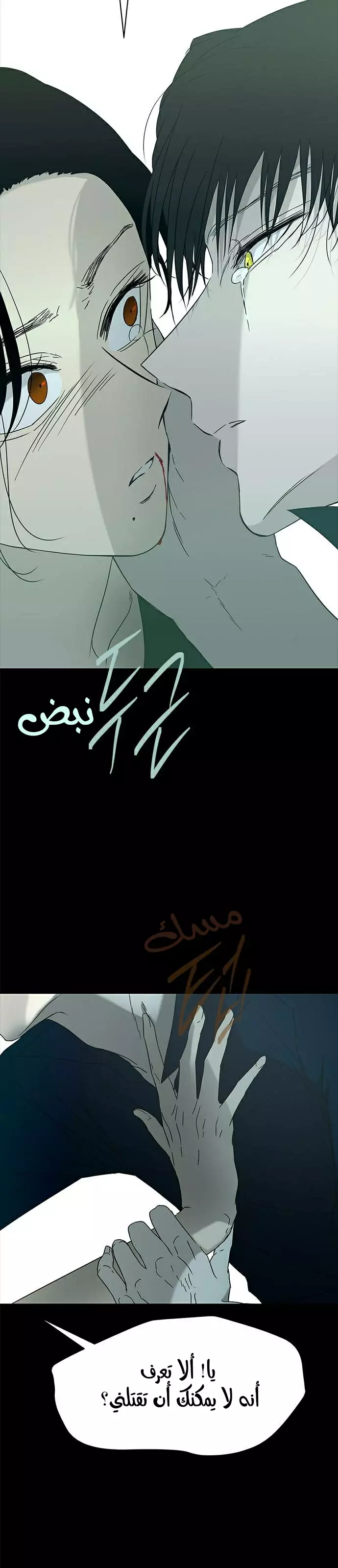 الصفحة 13