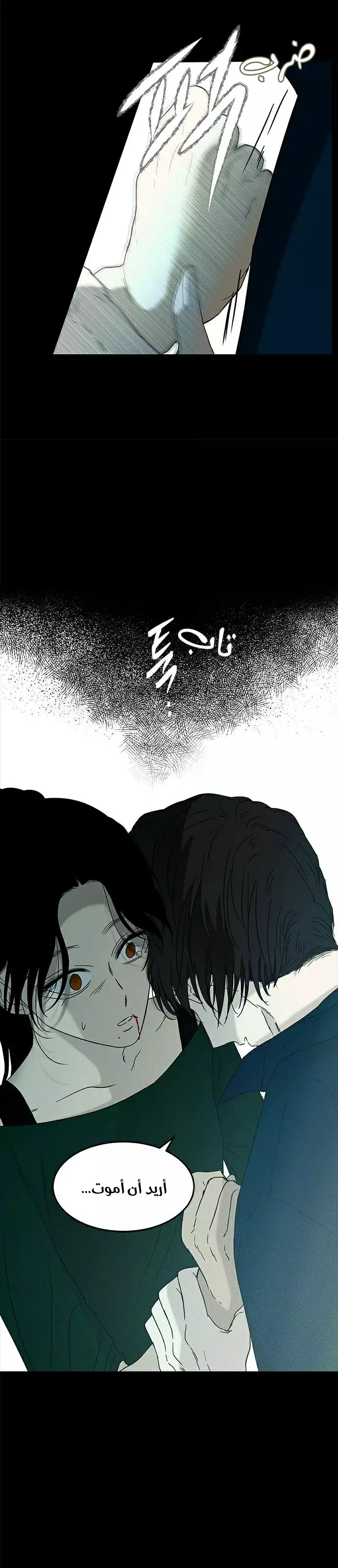 الصفحة 15
